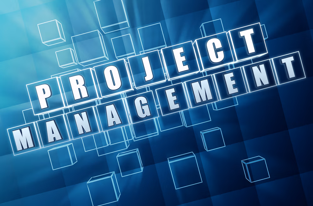Lead project management teams article. Project management - text in 3d blue glass cubes with white letters, business concept.